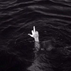 Meet your Posher, Cole